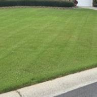 Turf Grass Pest Management in Cartersville, GA 0