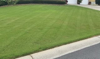 Turf Grass Pest Management in Cartersville, GA